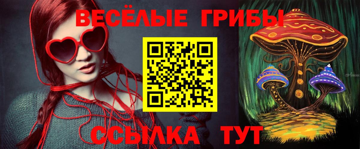 наркошоп  Псилоцибиновые грибы GOLDEN TEACHER  Вход с VPN  Менделеевск 