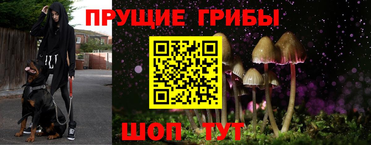 Галлюциногенные грибы мухоморы Менделеевск